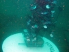 POSA_ALBERO_2014_108 POSA_ALBERO_2014_108