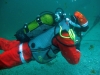 POSA_ALBERO_2014_110 POSA_ALBERO_2014_110