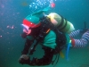 POSA_ALBERO_2014_112 POSA_ALBERO_2014_112