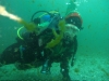 POSA_ALBERO_2014_113 POSA_ALBERO_2014_113