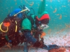 POSA_ALBERO_2014_114 POSA_ALBERO_2014_114