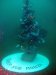 POSA_ALBERO_2014_064