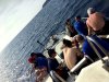 22 - La barca del capo