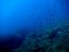 framura_17568