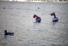 moregallo_23-02-2014_044