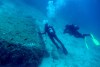 elba_18698
