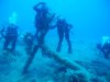 ELBA 2014 023