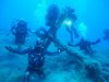 ELBA 2014 024