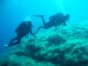 ELBA 2014 041