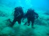 ELBA 2014 052