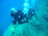 ELBA 2014 066