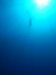 ELBA 2014 078