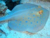 dscf4597