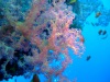dscf4629