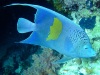 dscf4658