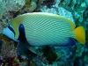 dscf4659