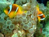 dscf4663