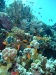 dscf4691