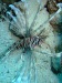 dscf4692