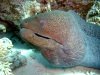 dscf4729