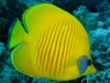 dscf4734