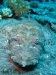 dscf4752