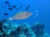 dscf4755