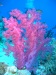dscf4764