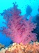 dscf4768