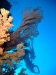 dscf4773