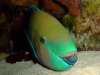 dscf4789