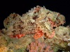 dscf4791