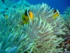 dscf4816
