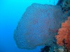 dscf4828