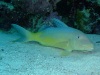 dscf4842