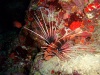 dscf4871