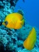 dscf4908