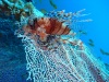 dscf4938
