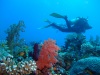 dscf4946