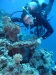 dscf4999
