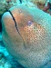 dscf5002