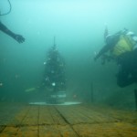 albero di natale subacqueo 2015 - foto GianClaudio Castellani