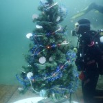 albero di natale subacqueo 2015 - foto GianClaudio Castellani