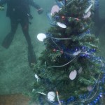 albero di natale subacqueo 2015 - foto GianClaudio Castellani