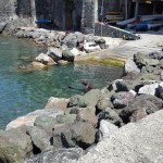 Battesimo del Mare 2016